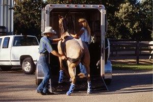 10 Tips for Traveling Solo With Your Horse