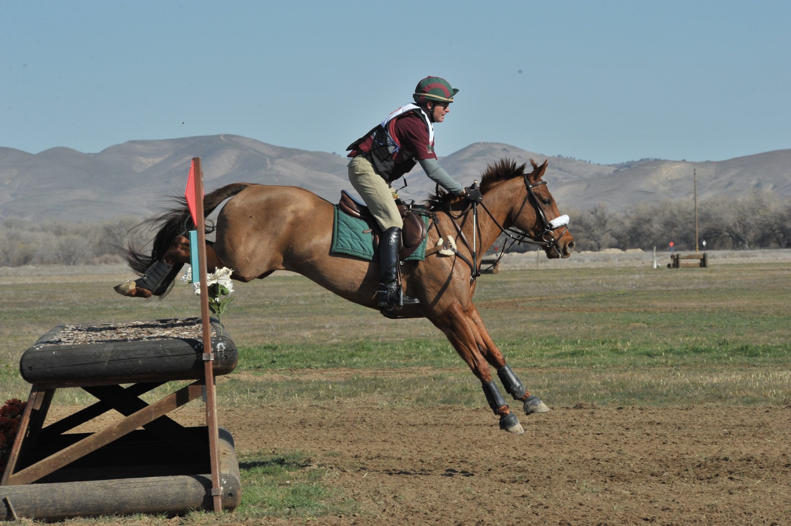 Training Horses Takes Time
