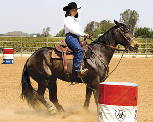 Training Tips for a Better Barrel Racing Foundation