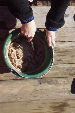 Two Delicious Bran Mash Recipes for Horses