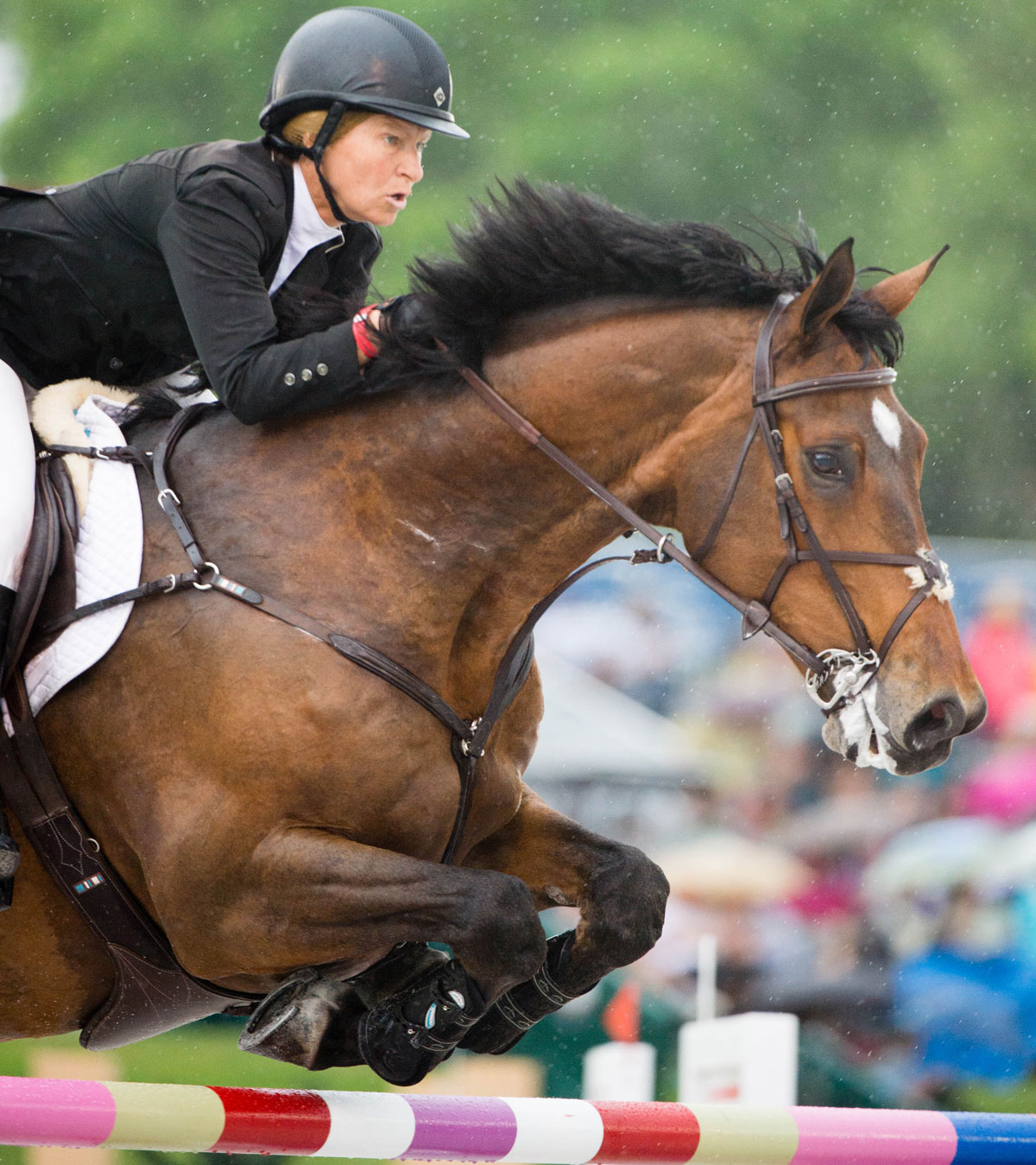 USEF Names Short List for the U.S. Olympic Show Jumping Team