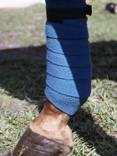 Video: Safely Wrap Your Horse’s Legs with Max Corcoran
