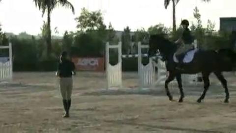 Video: Warm Up Your Horse for a Winning Course
