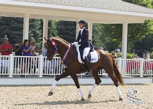 2013 Markel/USEF Young & Developing Horse Dressage National Championships, Day Four