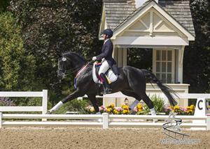2013 Markel/USEF Young & Developing Horse Dressage National Championships, Day Two