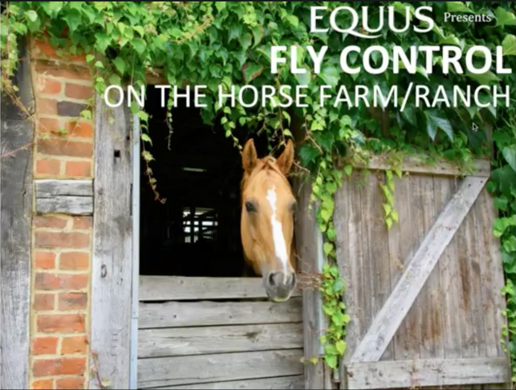 Webinar: Fly Control on the Horse Farm/Ranch with Dr. Doug Ross