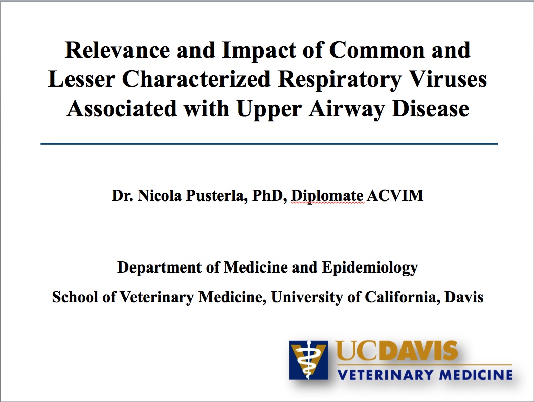 Webinar Recording: Relevance and Impact of Common and Lesser Characterized Respiratory Viruses Associated with Upper Airway Disease
