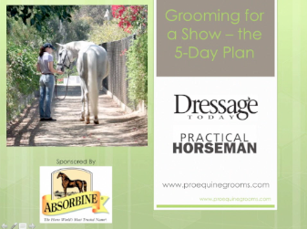 Webinar: The 5-Day Show-Grooming Plan from Professional Equine Grooms Founder Liv Gude
