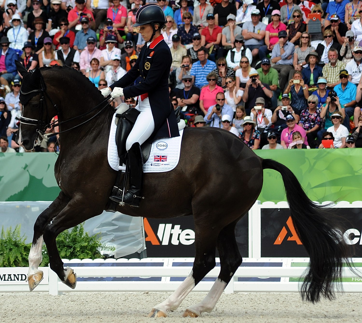 World Cup™ Dressage Standings
