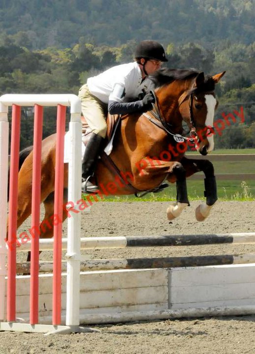 When To ?Push On??One of Horse Training?s Biggest Challenges