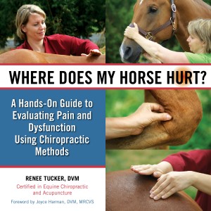 Media Critique: Where Does My Horse Hurt?