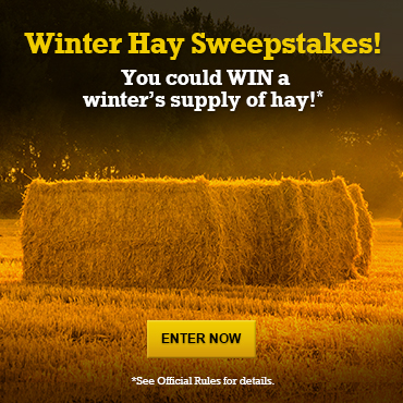 You Could Win Up To $10,000 Worth of Hay in the Winter Hay Sweepstakes!