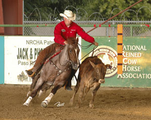 Working Cow Horse