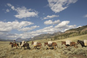 Horseback Riding: Yellowstone National Park