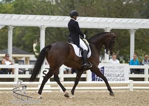 2013 Markel/USEF Young & Developing Horse Dressage National Championships, Day Three