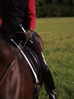 Ask the Experts: Improving the Dressage Seat