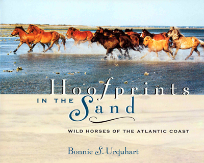 Book Review: Hoofprints in the Sand