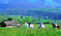 Riding Vacation Under the Tuscan Sun