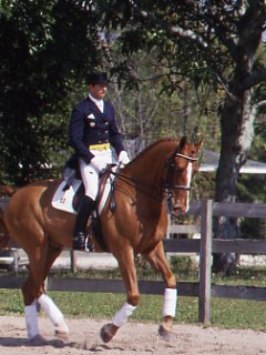 Global Dressage Forum: Training the Happy Horse