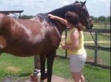 Assess, Help Your Horse’s Health While Grooming
