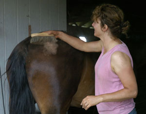 Handy Barn Items for Grooming and Health