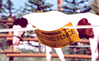 Nine Facts About Electric Fencing
