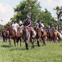 Riding with the ‘O’Connor Cavalry’