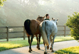 Life With Horses: Get the Most Out of Each Stage of Your Life