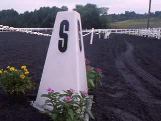 Make Your Own Dressage Markers
