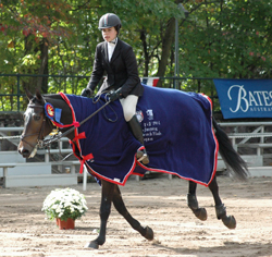 Postcard: 2004 Show Jumping Talent Search Finals East