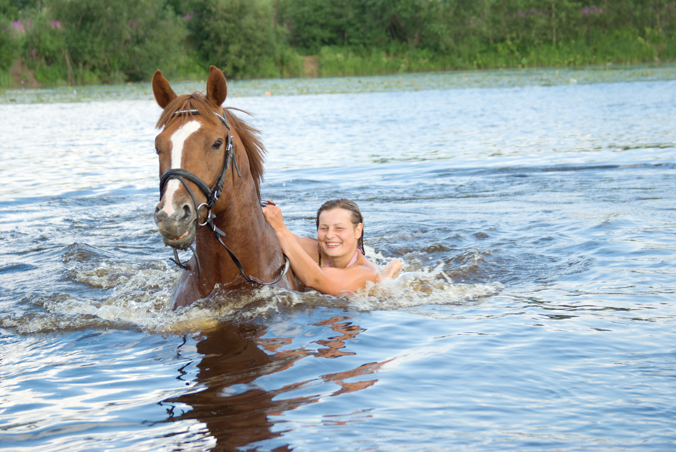 Summer Fun with Your Horse
