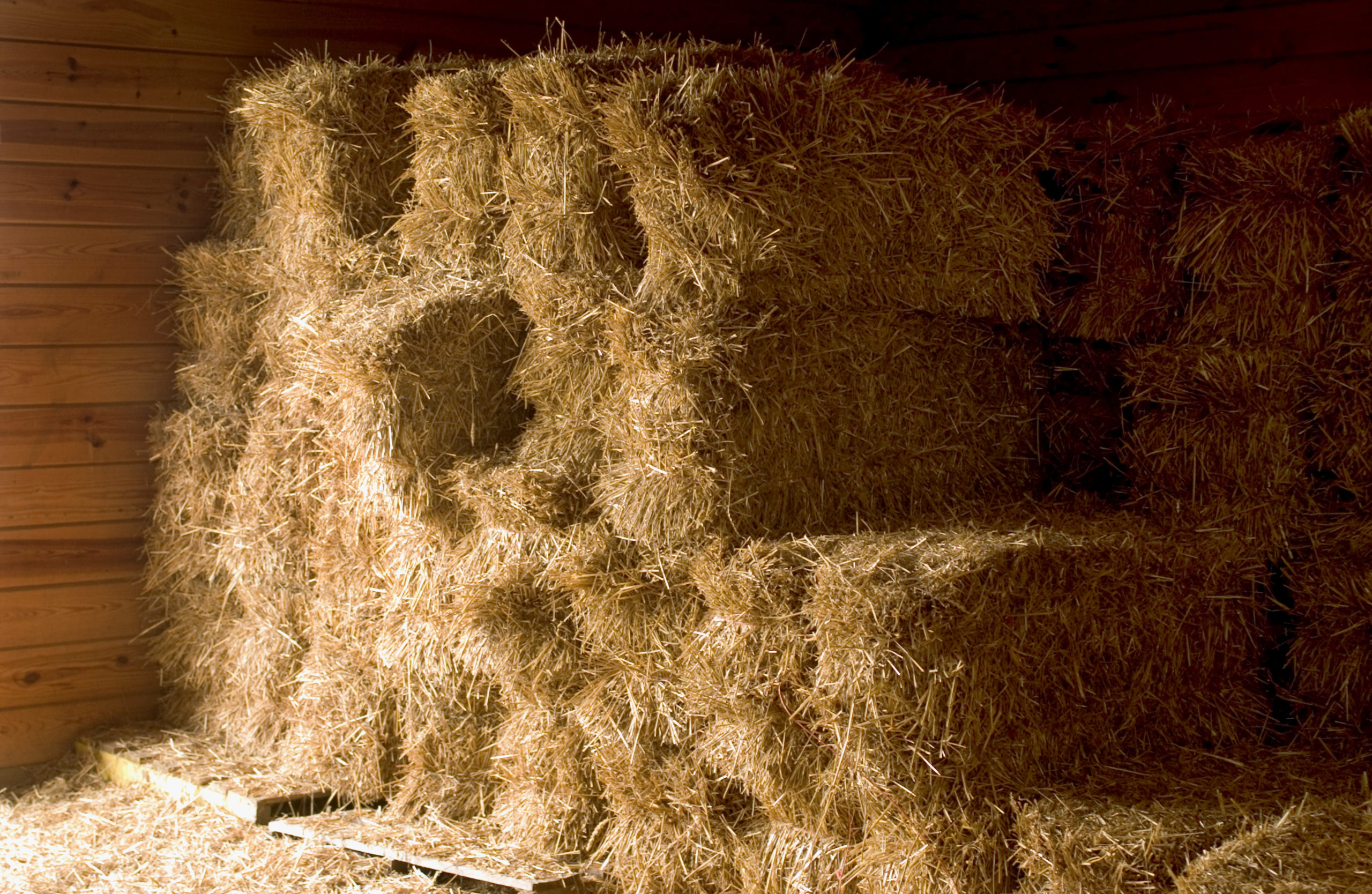 Winter Storage of Horse Hay